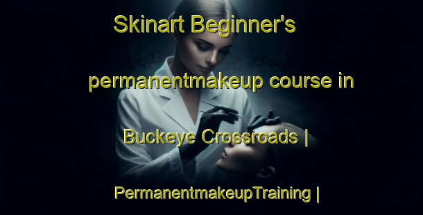 Skinart Beginner's permanentmakeup course in Buckeye Crossroads | PermanentmakeupTraining | PermanentmakeupClasses | SkinartTraining-United States